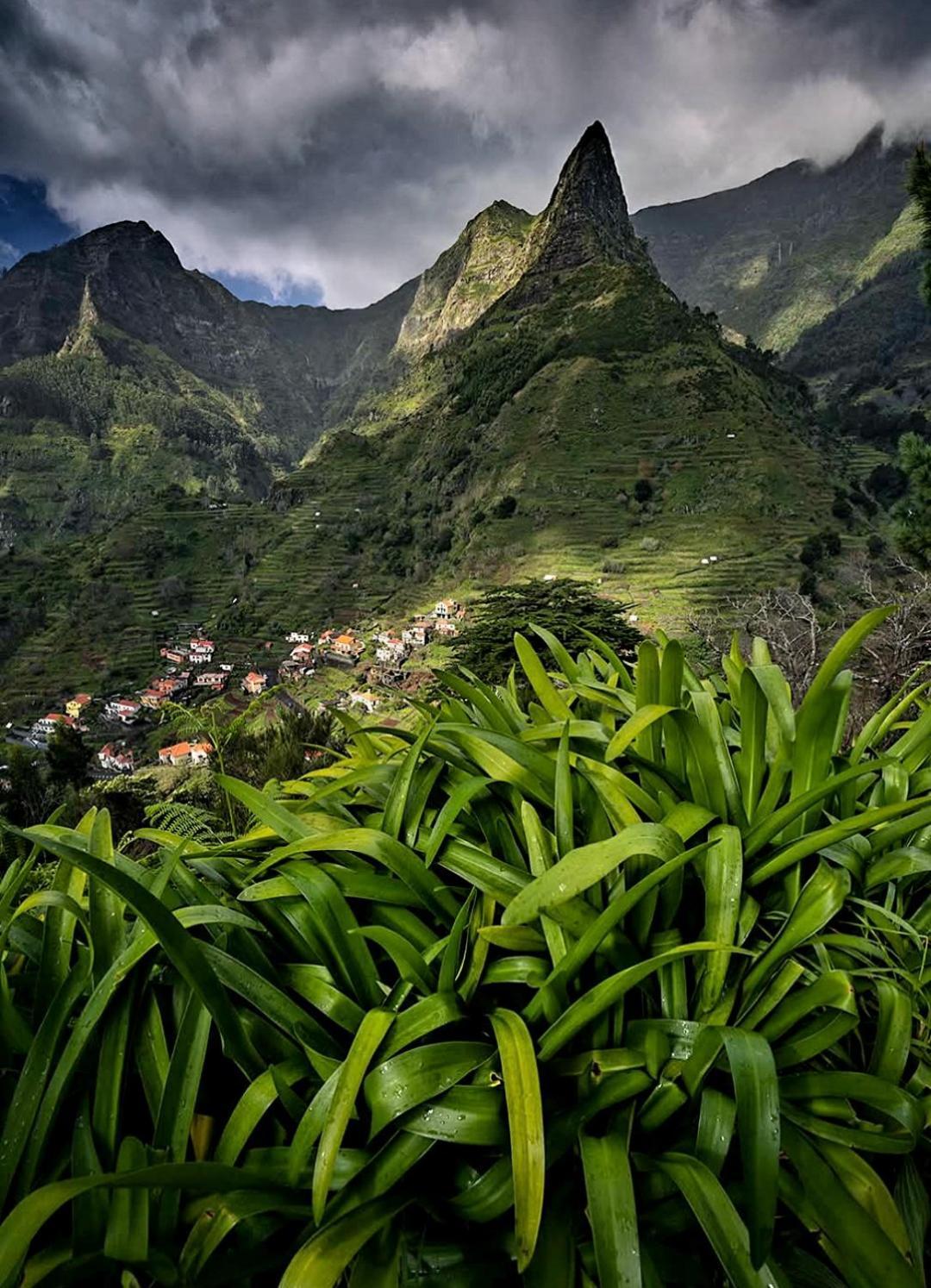 The Artist House Arco da Calheta (Madeira) Quarto foto